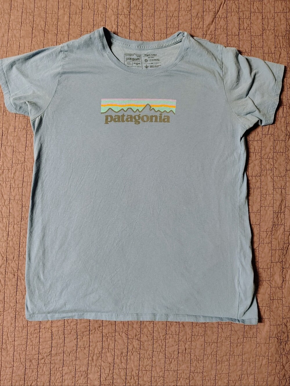 Patagonia Pastel Logo T-Shirt